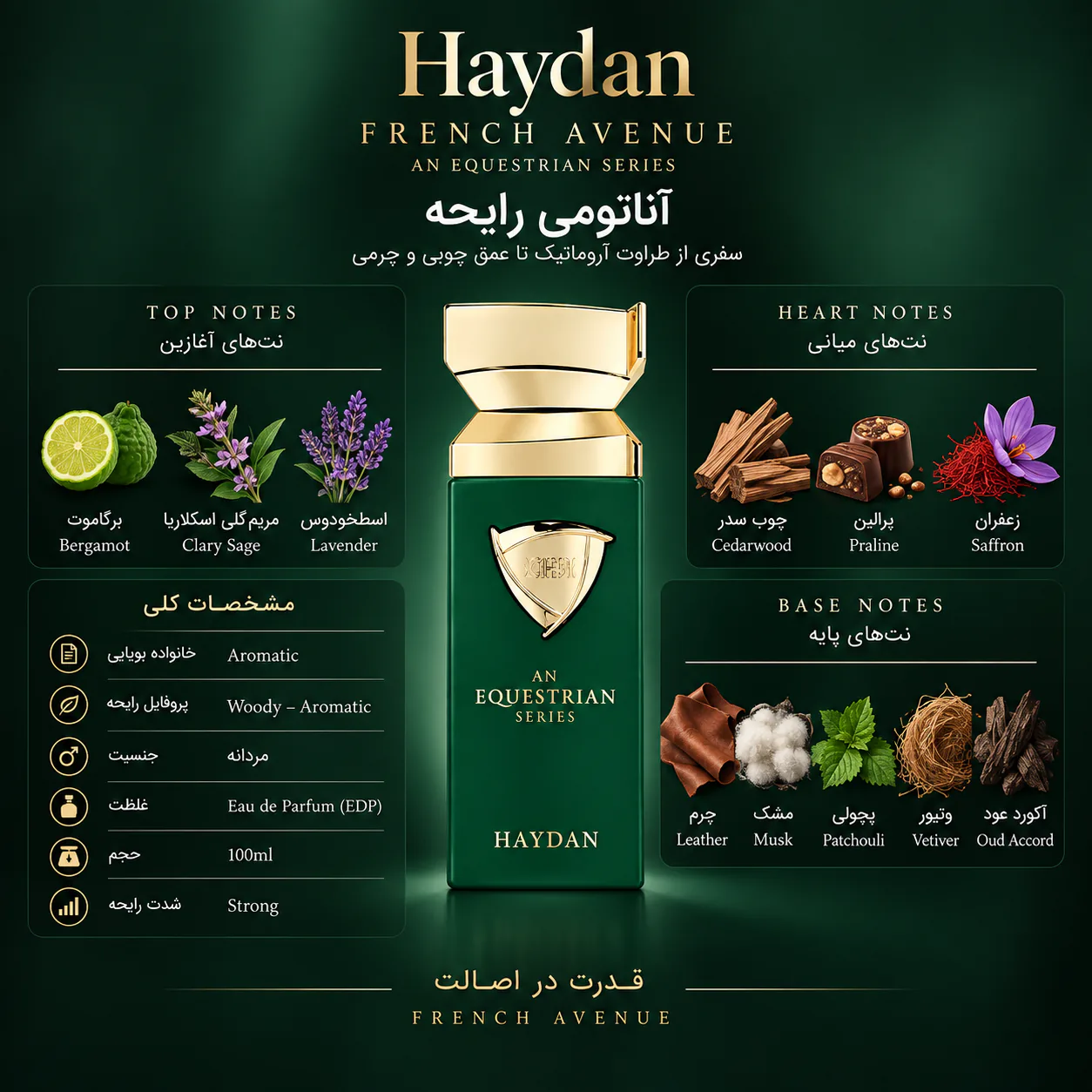 عطر فرنچ اونیو مدل هایدان ۱۰۰ میلی لیتر